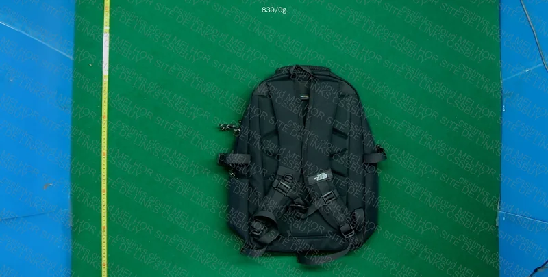 The North Face Backpack 2