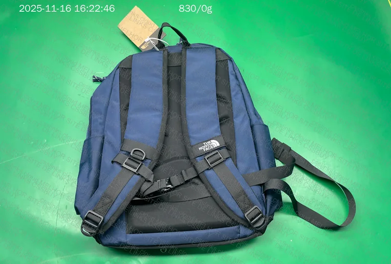 The North Face Backpack 2