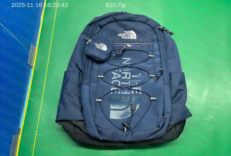 The North Face Backpack 5