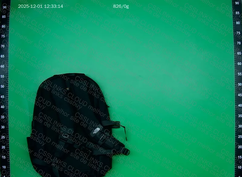 The North Face Backpack 4