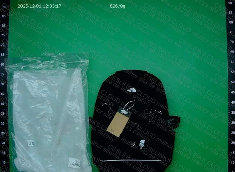 The North Face Backpack 5