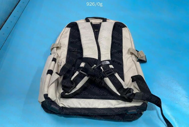 The North Face Beige Backpack 2