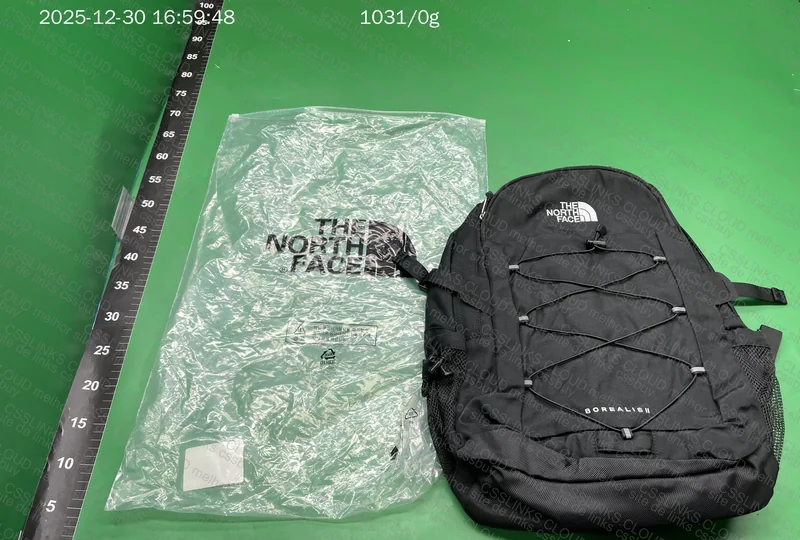 Mochila The North Face Borealis 2