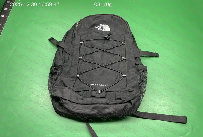 Mochila The North Face Borealis 2 2