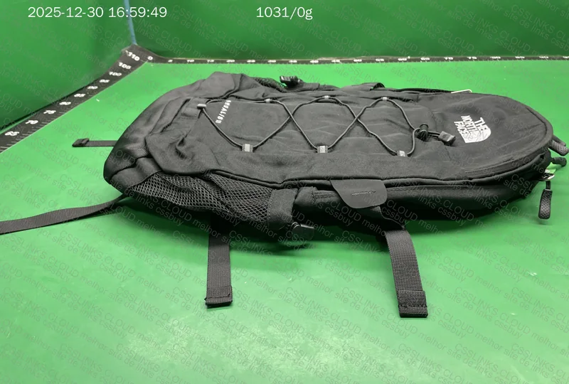Mochila The North Face Borealis 2 5