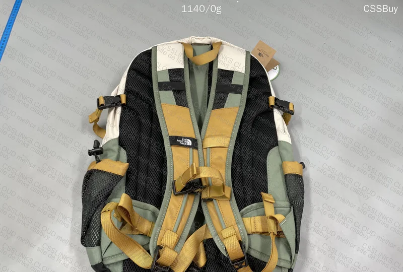 The North Face (TNF) Backpack 2