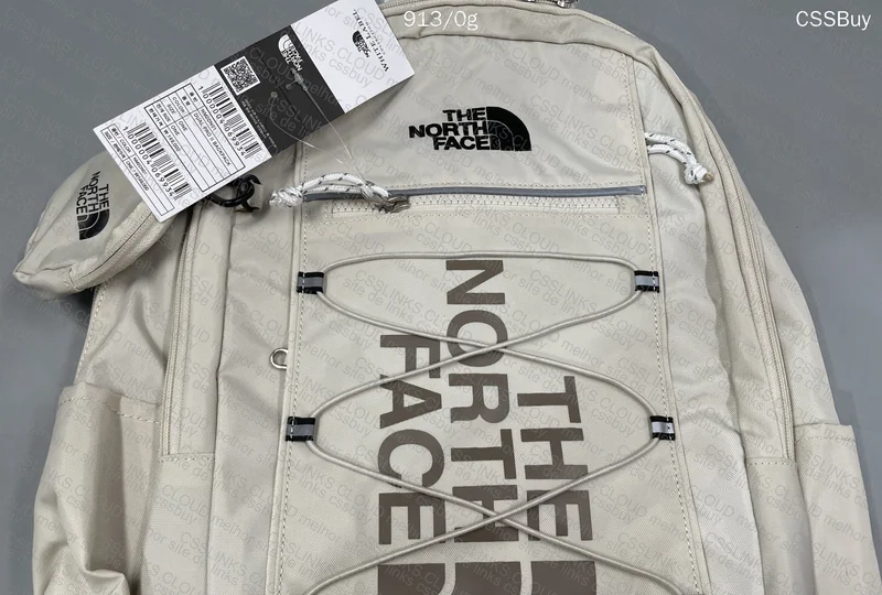 The North Face (TNF) Backpack 2