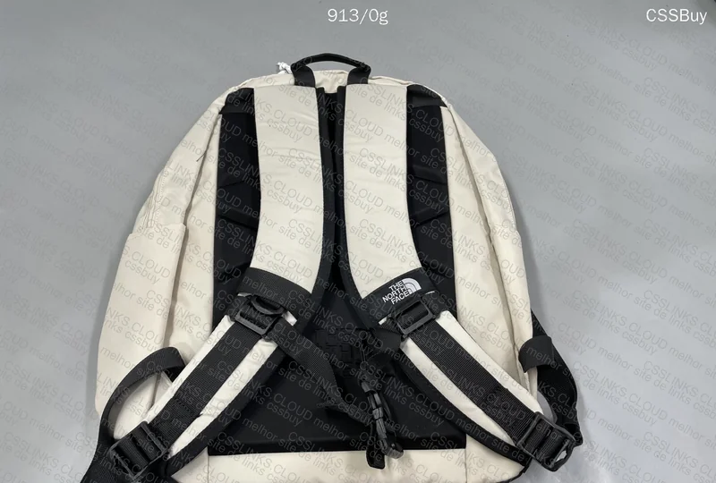 The North Face (TNF) Backpack 3