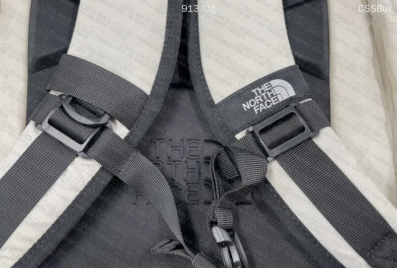 The North Face (TNF) Backpack 5