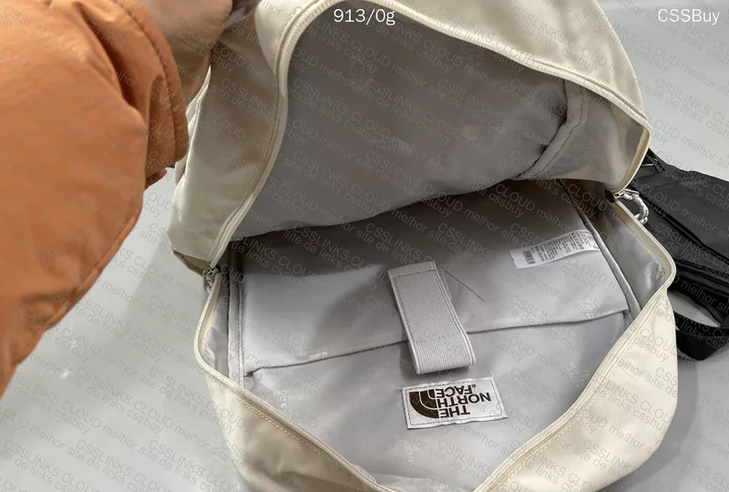 The North Face (TNF) Backpack 6