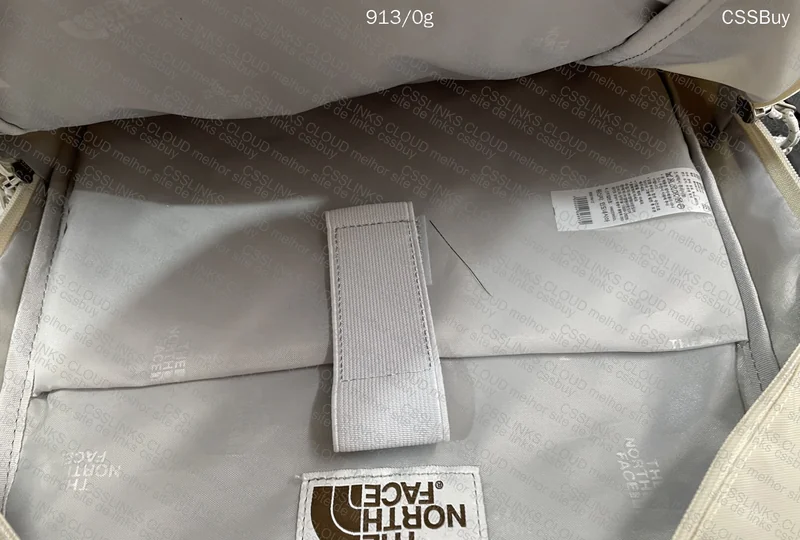 The North Face (TNF) Backpack 7