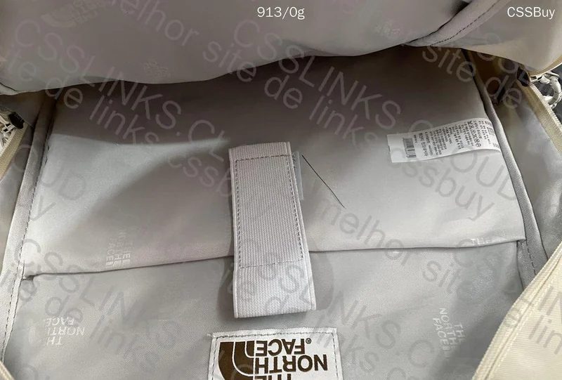The North Face (TNF) Backpack 8