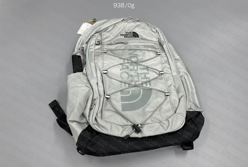 The North Face (TNF) Backpack 2