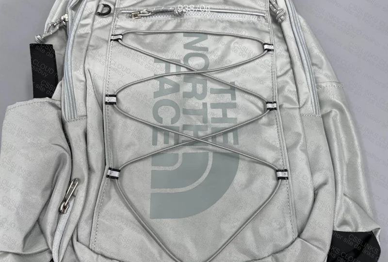 The North Face (TNF) Backpack 3