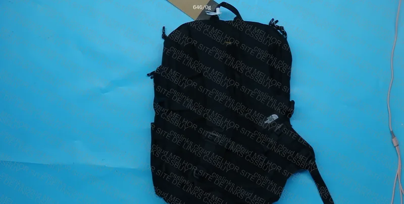 The North Face (TNF) Backpack 2