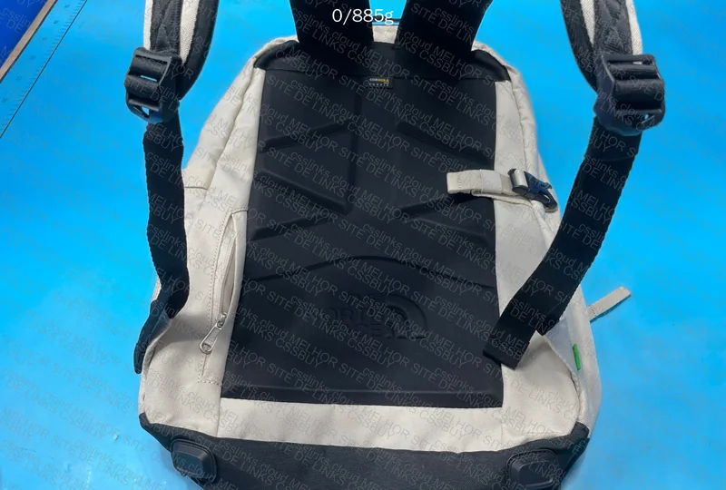 The North Face (TNF) Backpack