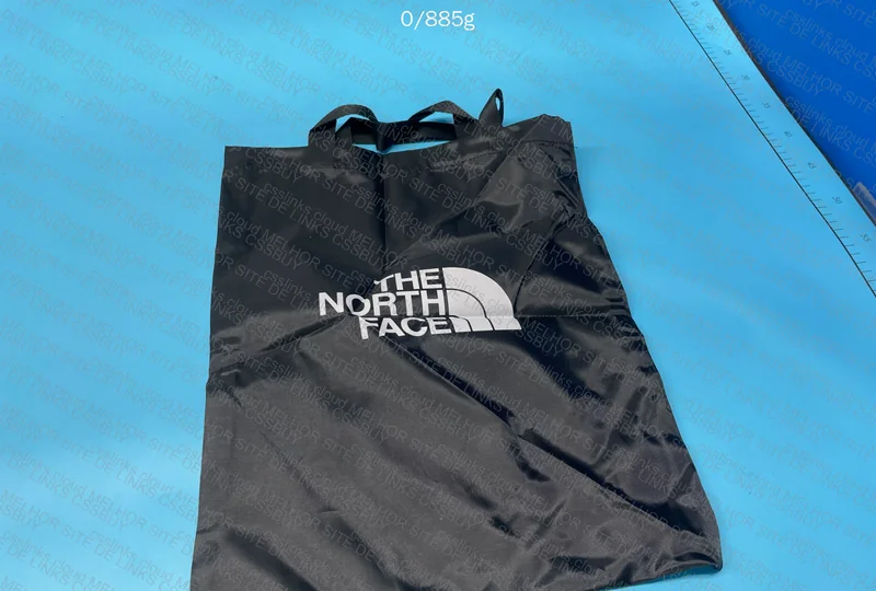The North Face (TNF) Backpack 2
