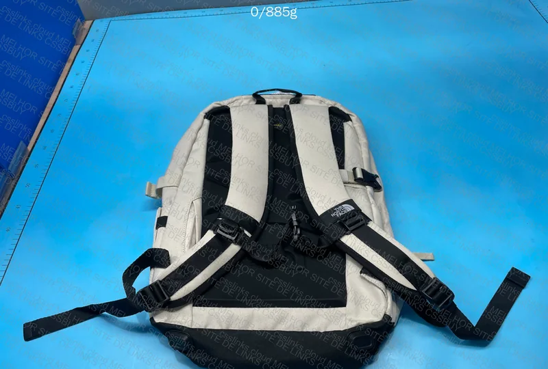 The North Face (TNF) Backpack 3