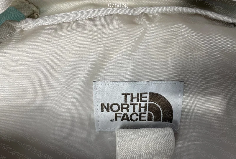 The North Face (TNF) Backpack 9
