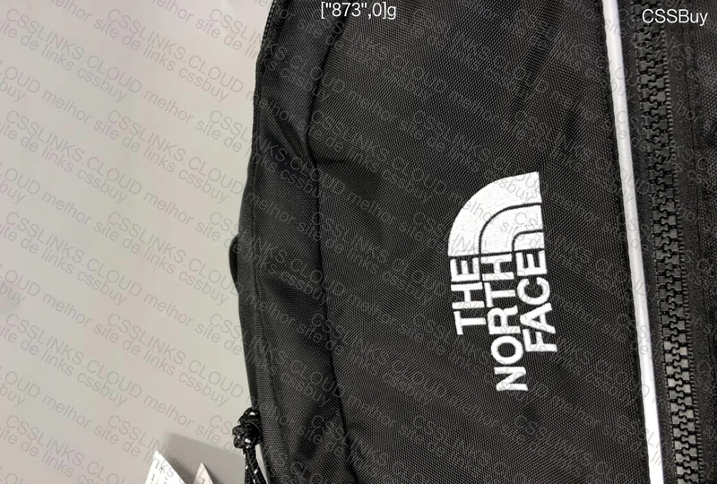 TNF Backpack 2