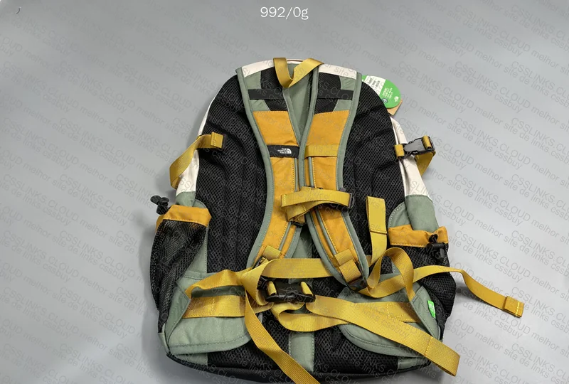 TNF Backpack 2