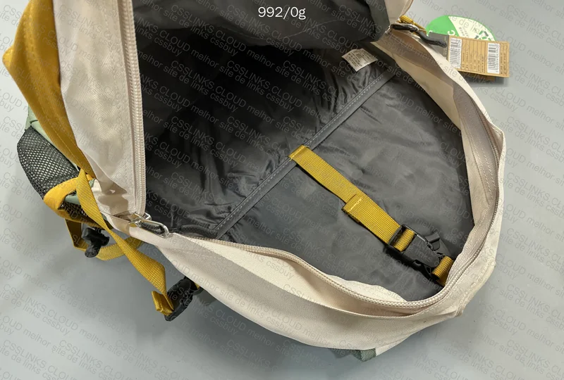 TNF Backpack 3