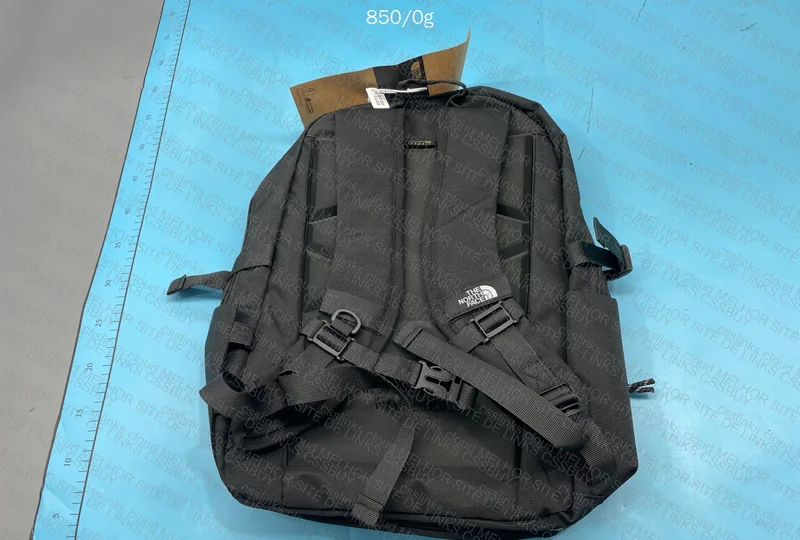 TNF Backpack 2
