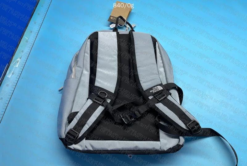 TNF Backpack 2