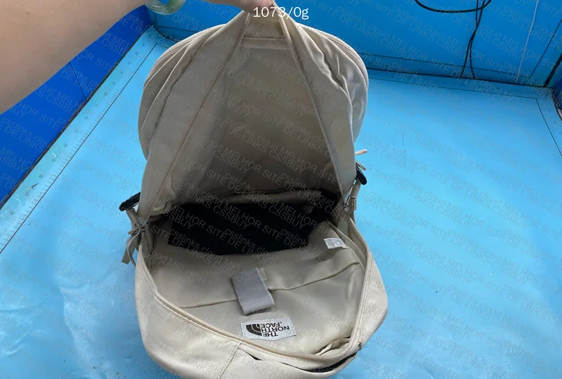 TNF Backpack 2