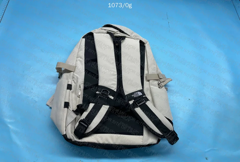 TNF Backpack 3