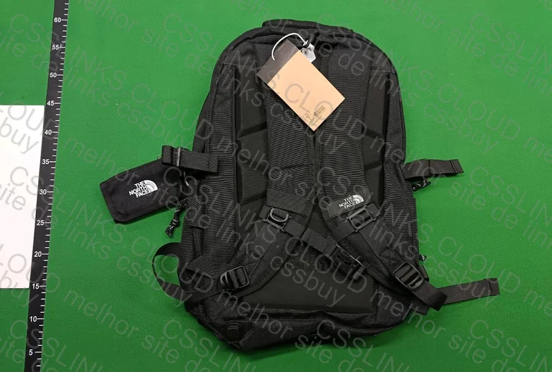 TNF Backpack 2