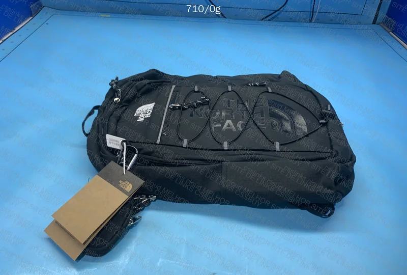TNF Backpack 2