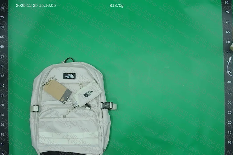 TNF Backpack