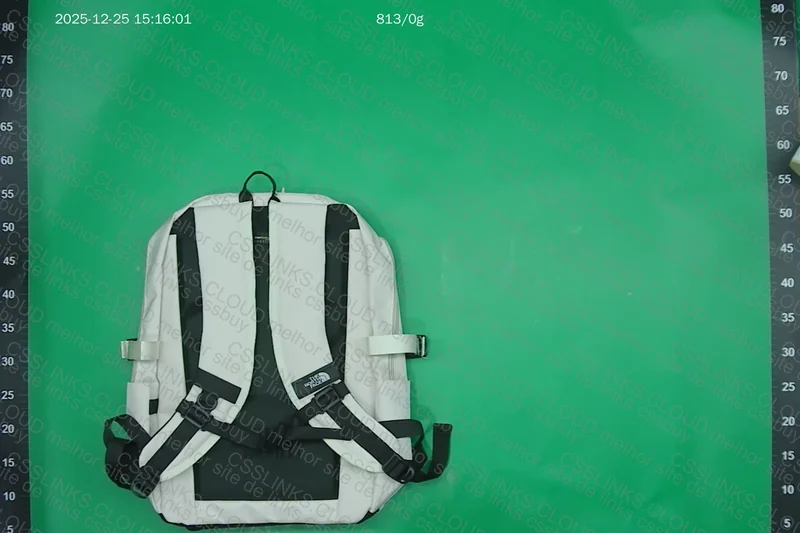 TNF Backpack 2