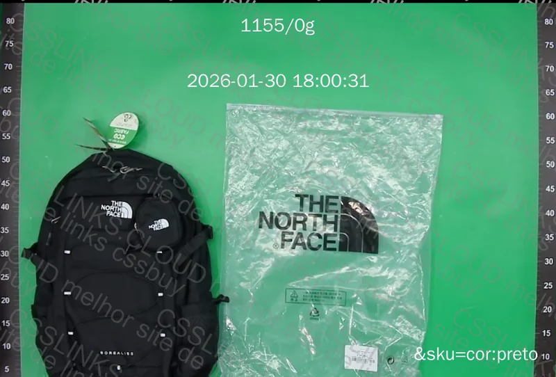 Mochila TNF 2