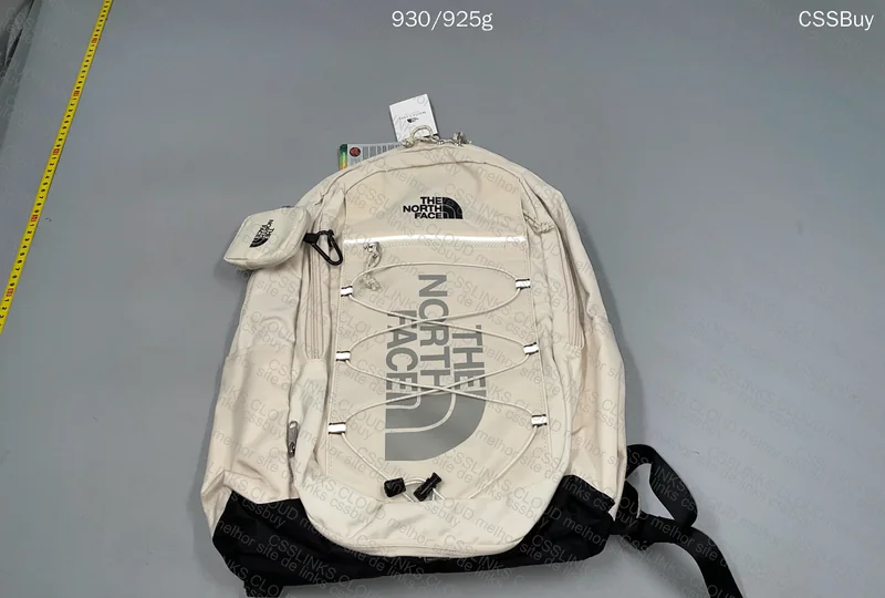 TNF - Awesome Backpack 2
