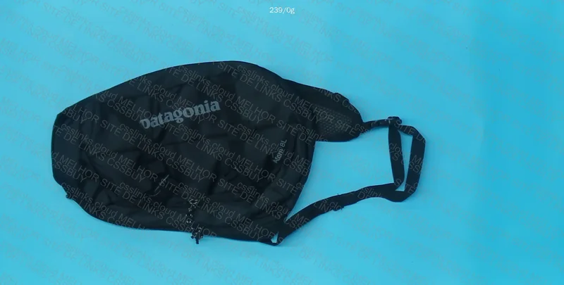 Patagonia Backpack/Bag