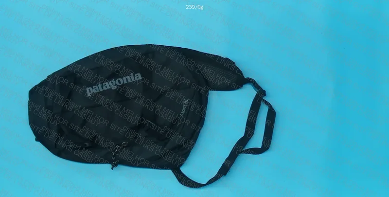 Patagonia Backpack/Bag 3