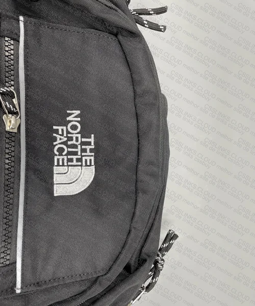 Large TNF Backpack 5