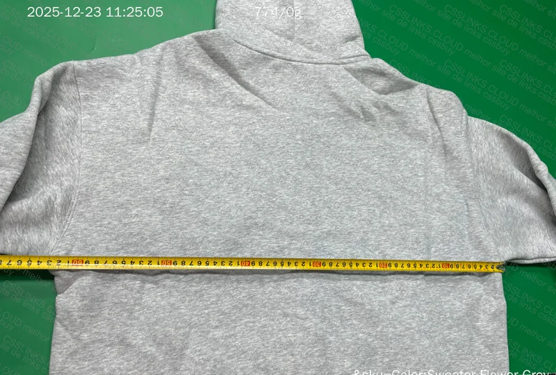 Artiemaster Gray Hoodie