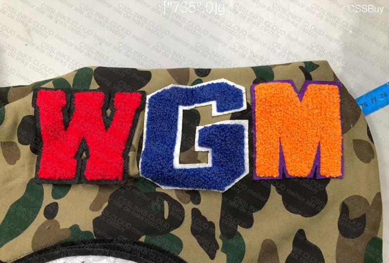 Bape Hoodie 6
