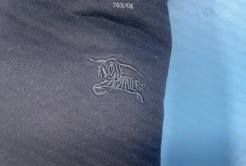 Burberry Hoodie 6