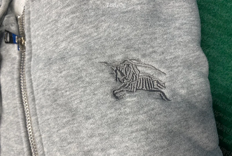 Burberry Hoodie 2