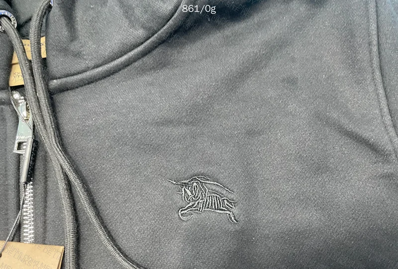 Burberry Hoodie with Measurements - GL? 10