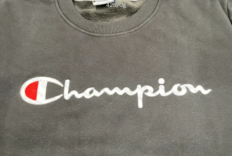 Champion Crewneck Sweatshirt 2