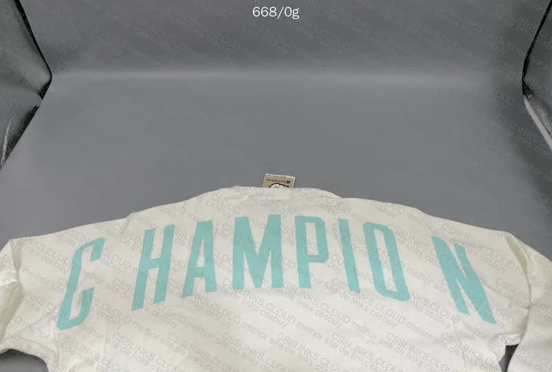 Champion Crewneck Sweatshirt 2