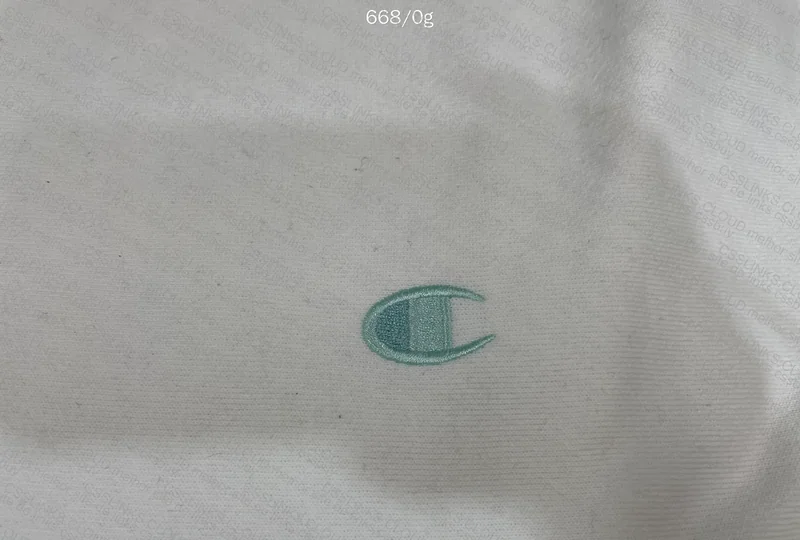 Champion Crewneck Sweatshirt 6