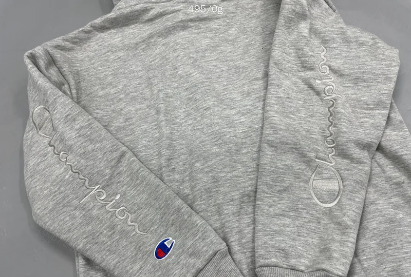 Champion Hoodie 2