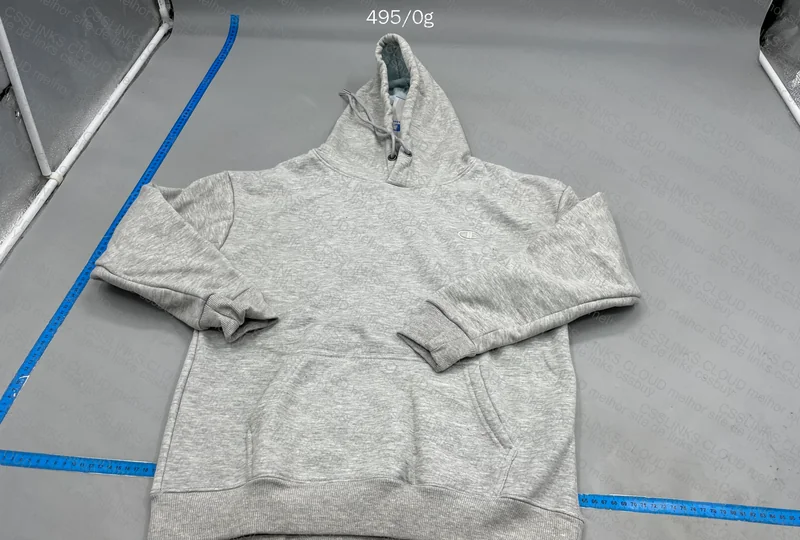 Champion Hoodie 5