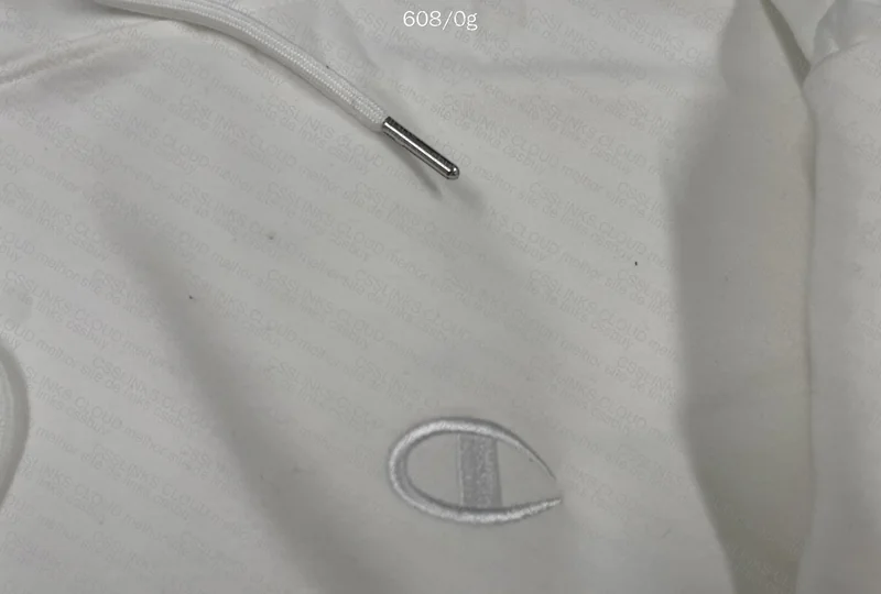Champion Hoodie 2